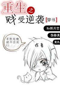 重生之贱受逆袭讲什么的解释